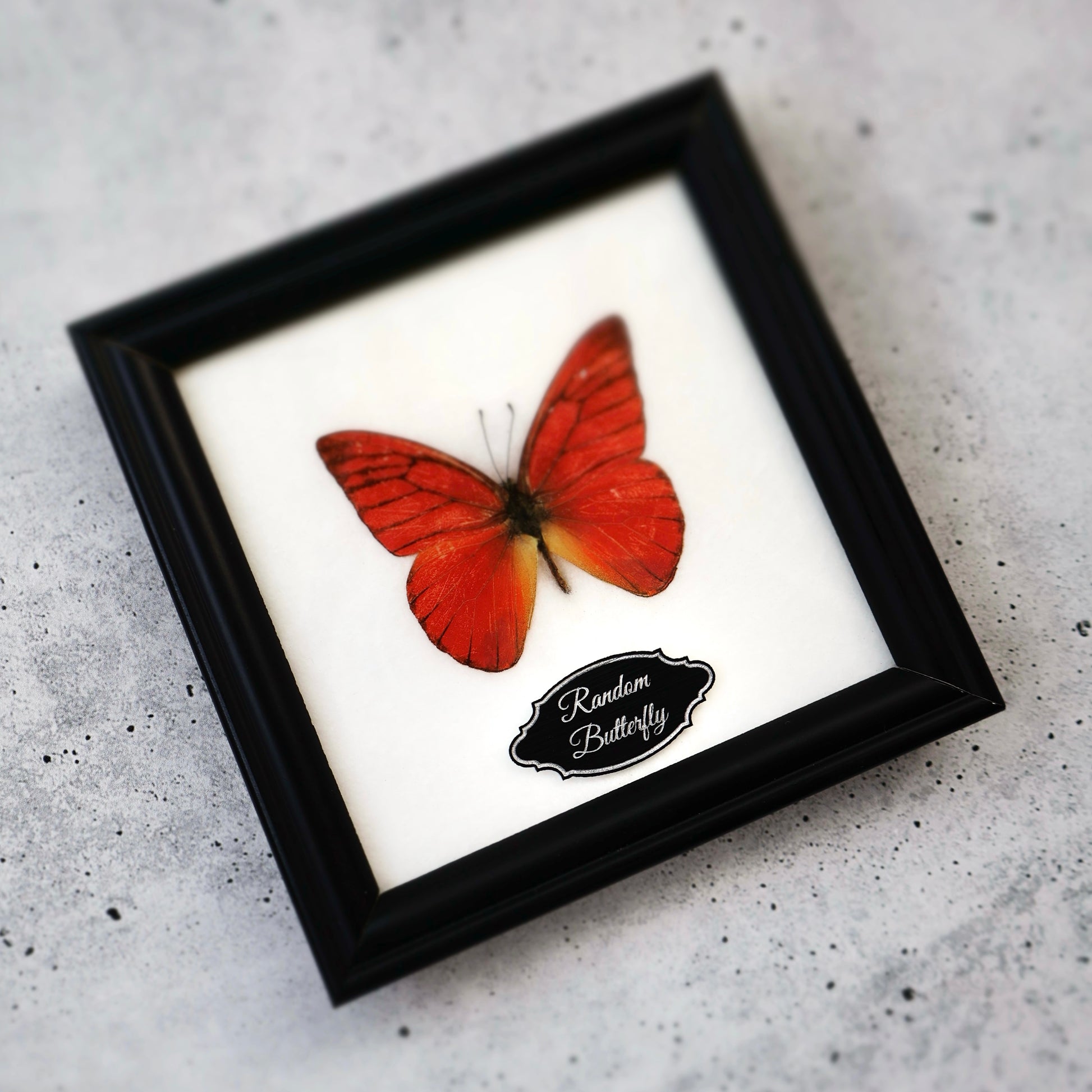 black custom plaque name plate art engraved flexibrass adhesive weatherproof engraved plate metal name plate engraved plaque custom brass name plate Personalized plaque engraved label award label trophy plates plaques ID plates labels interior signage gold